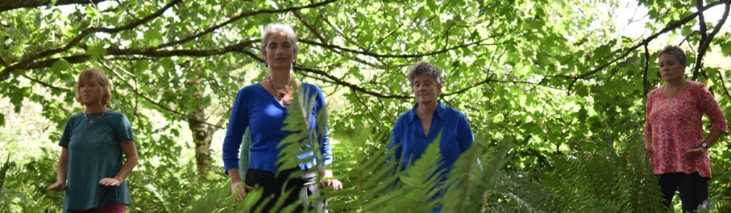 A group of people doing Tai Chi Movements for Wellbeing in the woods.